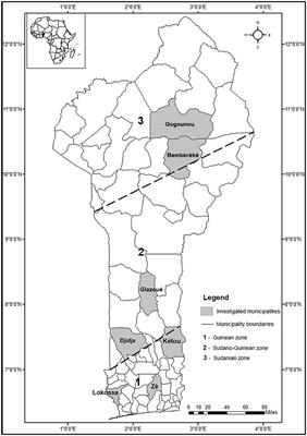 Enabling effective maize seed system in low-income countries of West Africa: Insights from Benin